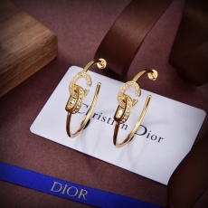 Christian Dior Earrings